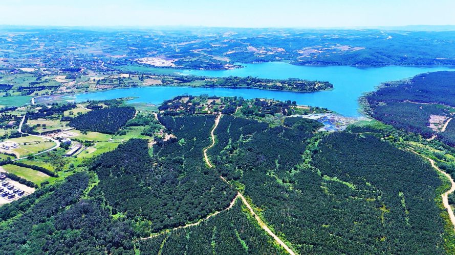 كرابورون-(2)